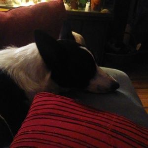 Meet your Posher, Penny